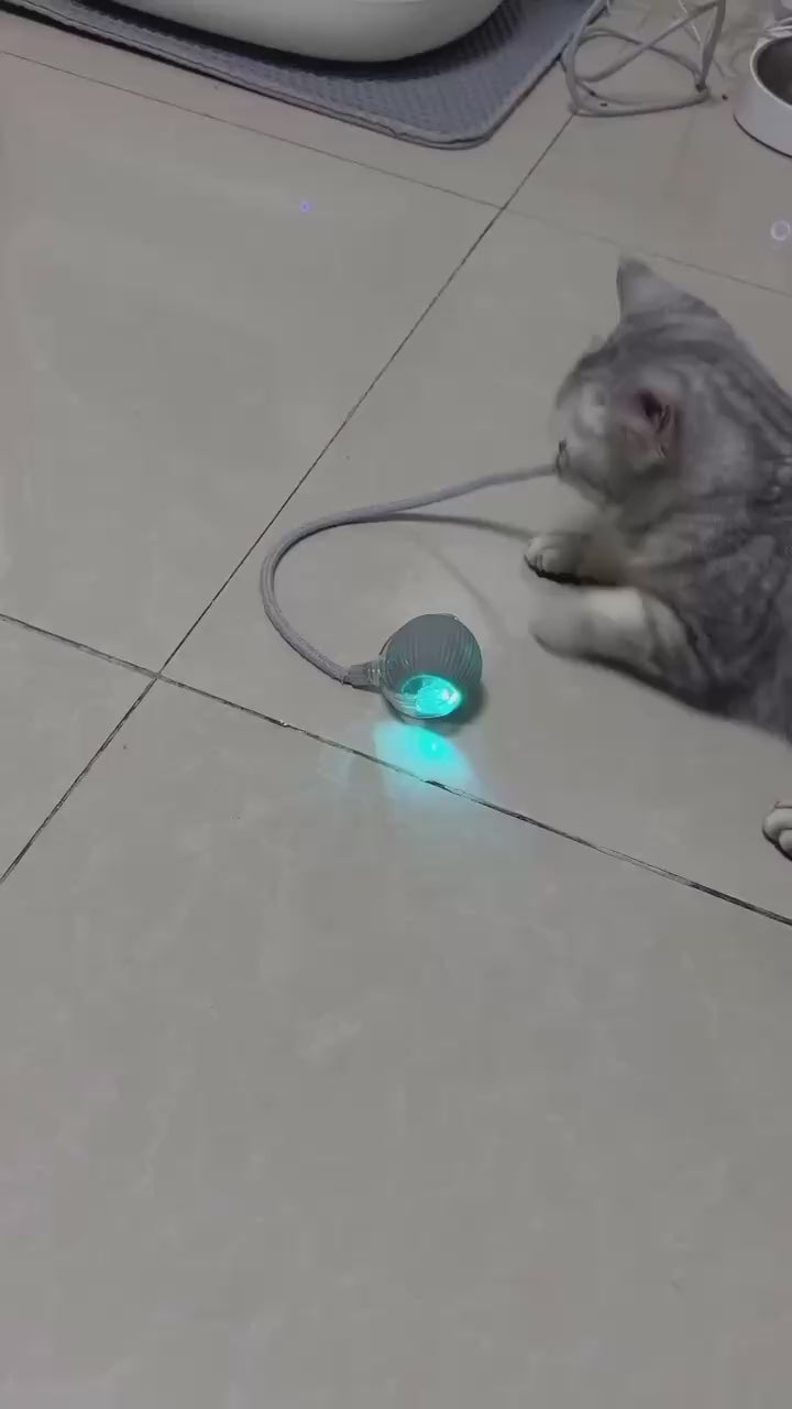 Pelota de Juguete Automática para perros y gatos.